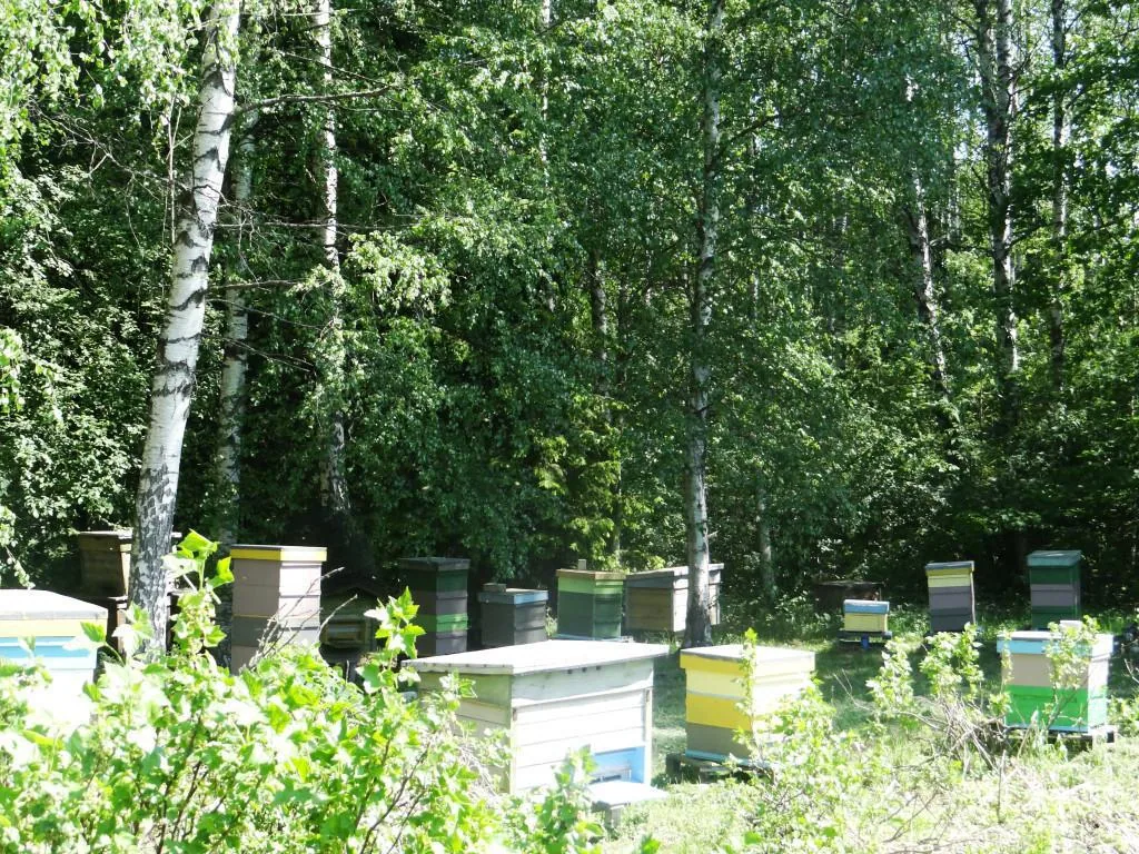 Аксҳо аз сафари омӯзишӣ ба Эстония