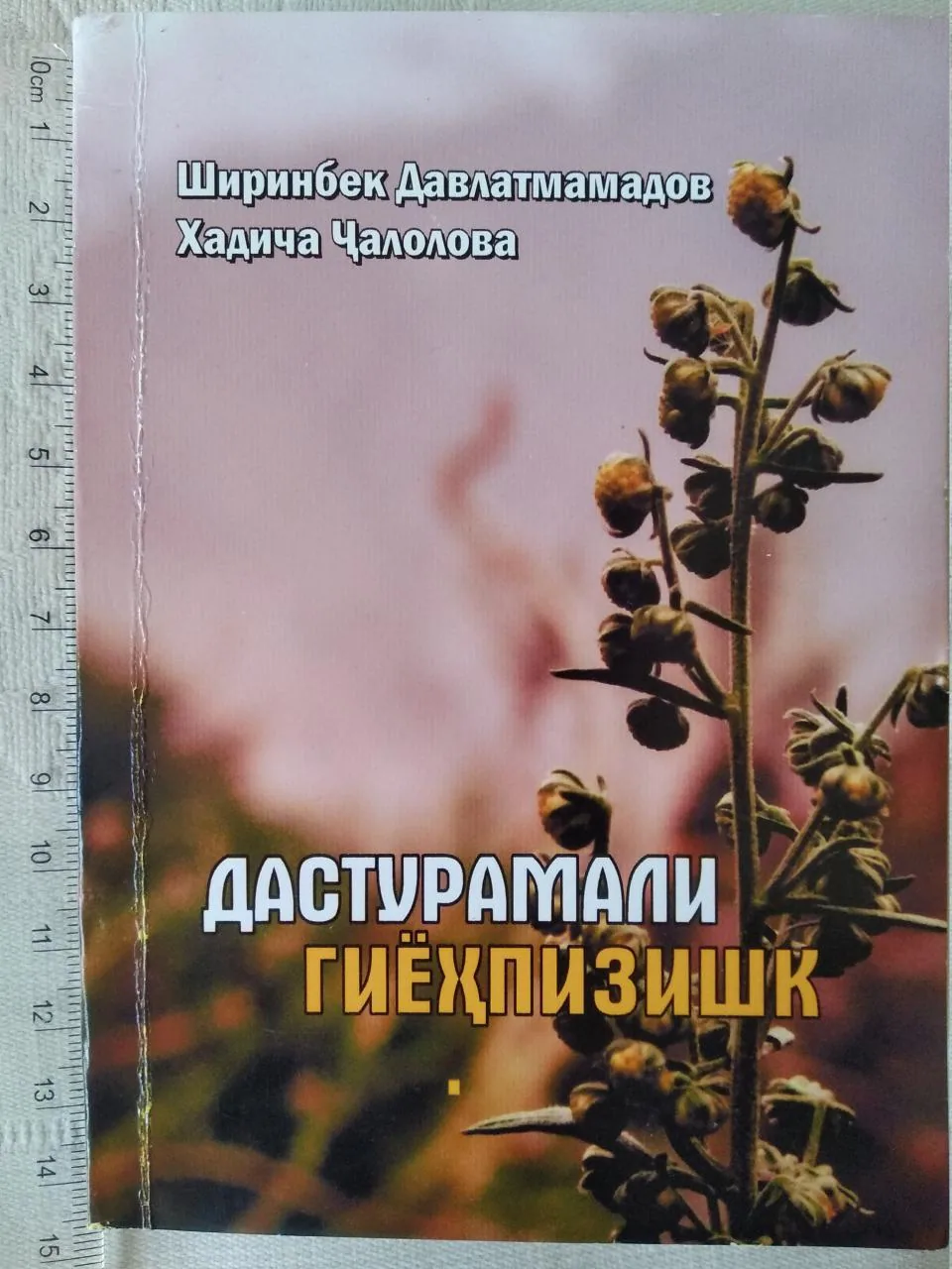 Cover of the book Herbalist Handbook