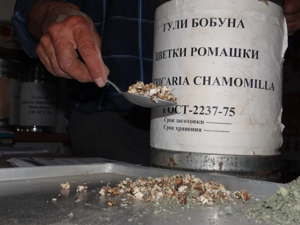 Storage and preparation of chamomile
